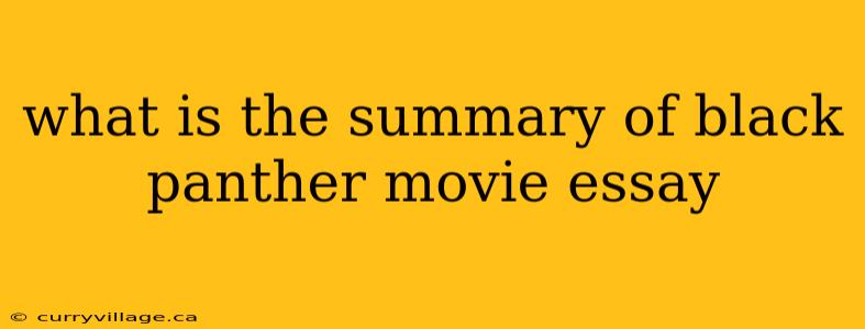 what is the summary of black panther movie essay