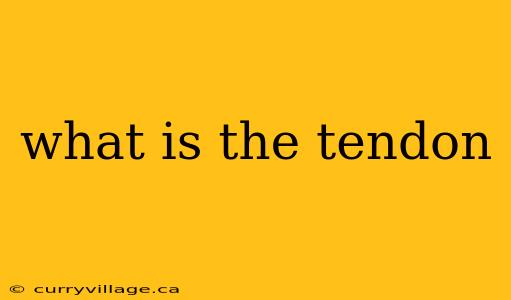 what is the tendon