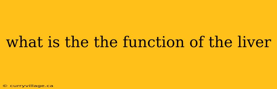 what is the the function of the liver
