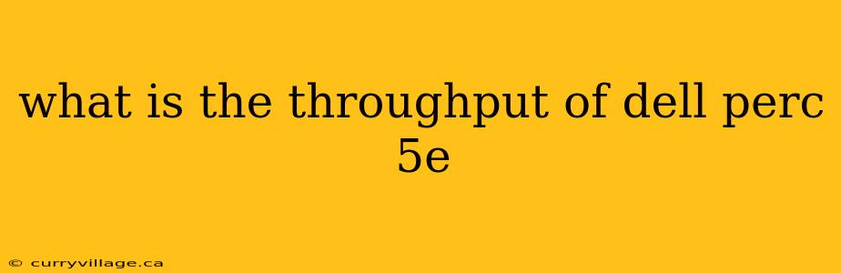 what is the throughput of dell perc 5e