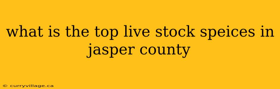what is the top live stock speices in jasper county