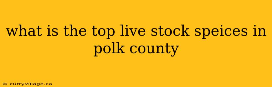 what is the top live stock speices in polk county