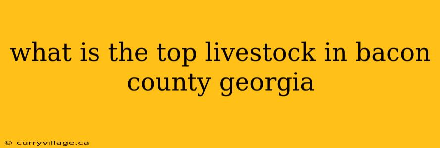 what is the top livestock in bacon county georgia