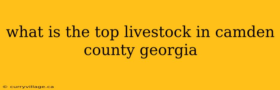 what is the top livestock in camden county georgia