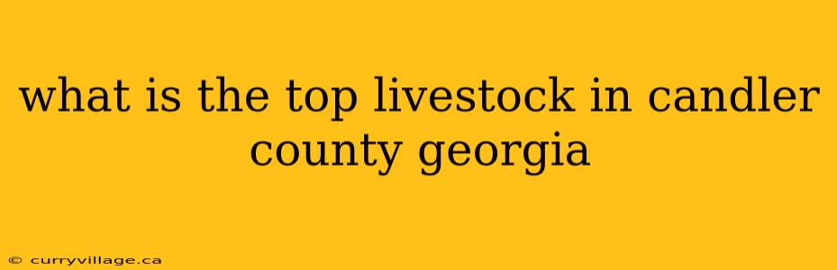what is the top livestock in candler county georgia