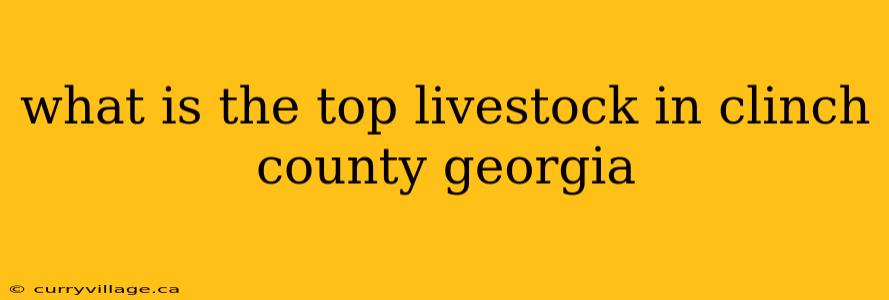 what is the top livestock in clinch county georgia