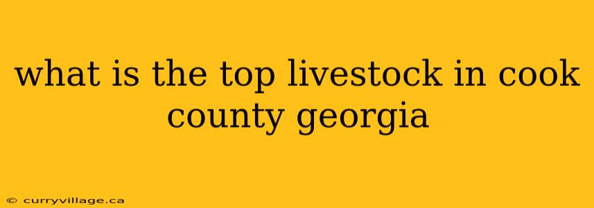what is the top livestock in cook county georgia