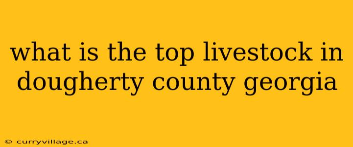 what is the top livestock in dougherty county georgia