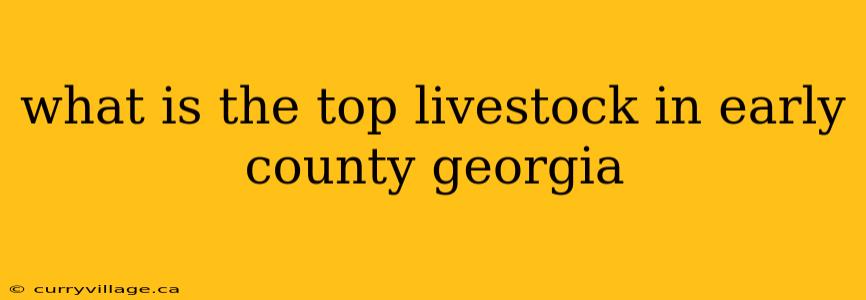 what is the top livestock in early county georgia