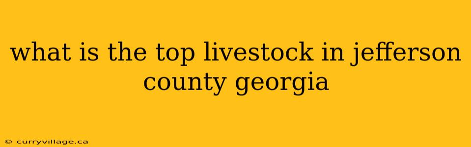 what is the top livestock in jefferson county georgia
