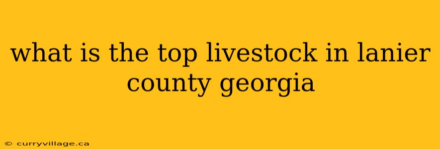 what is the top livestock in lanier county georgia