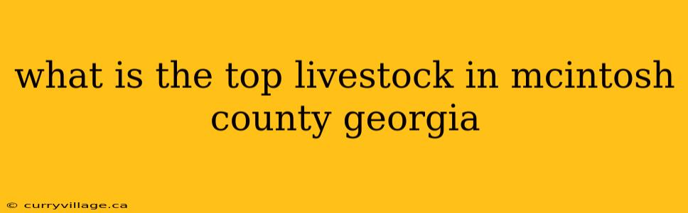 what is the top livestock in mcintosh county georgia