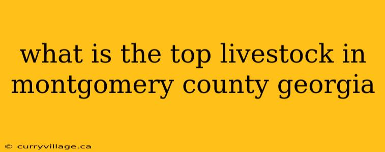 what is the top livestock in montgomery county georgia