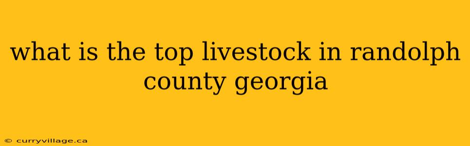 what is the top livestock in randolph county georgia