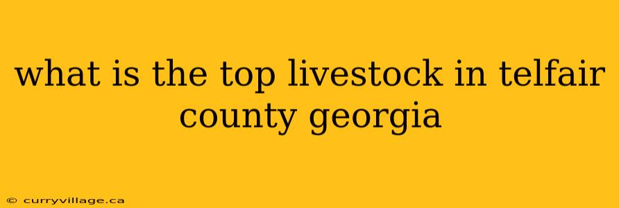 what is the top livestock in telfair county georgia