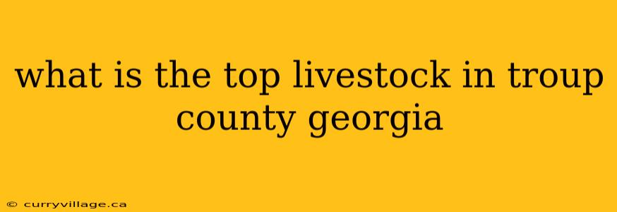 what is the top livestock in troup county georgia