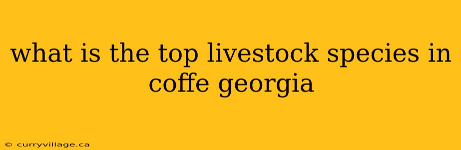 what is the top livestock species in coffe georgia