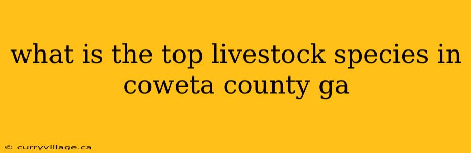 what is the top livestock species in coweta county ga