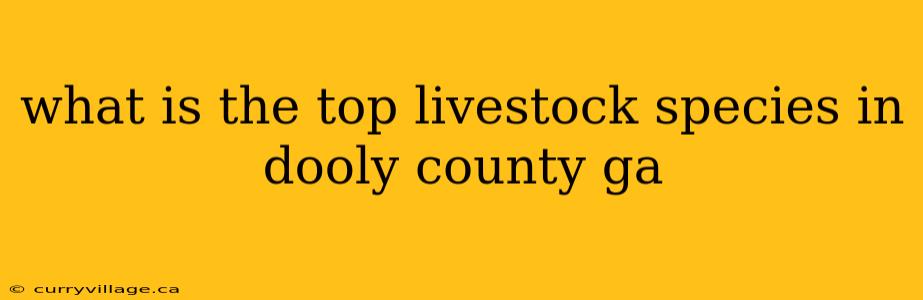 what is the top livestock species in dooly county ga