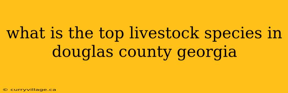 what is the top livestock species in douglas county georgia