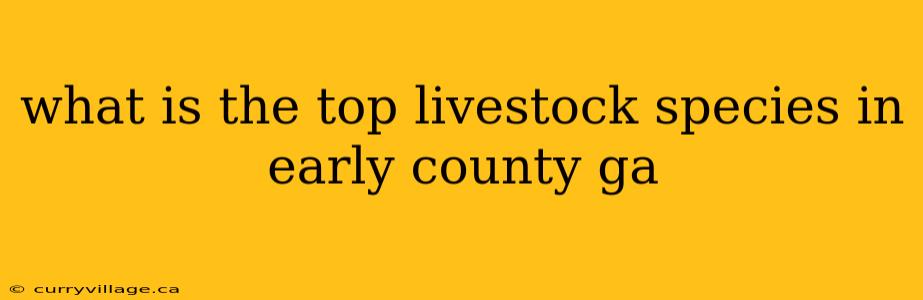 what is the top livestock species in early county ga
