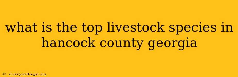 what is the top livestock species in hancock county georgia