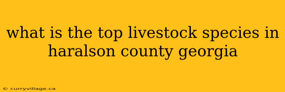 what is the top livestock species in haralson county georgia