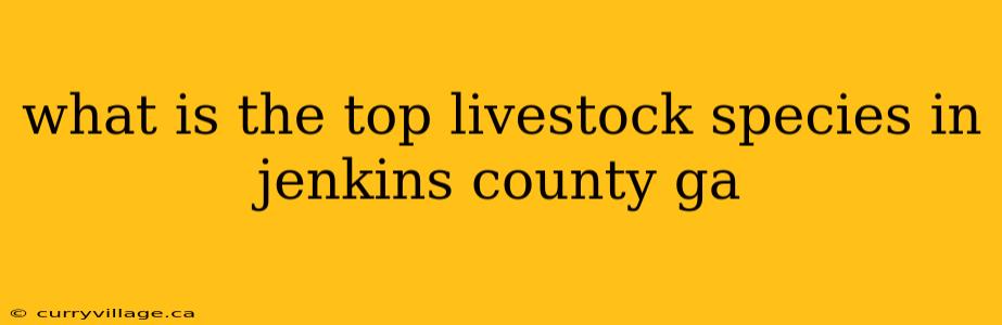 what is the top livestock species in jenkins county ga