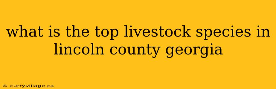 what is the top livestock species in lincoln county georgia