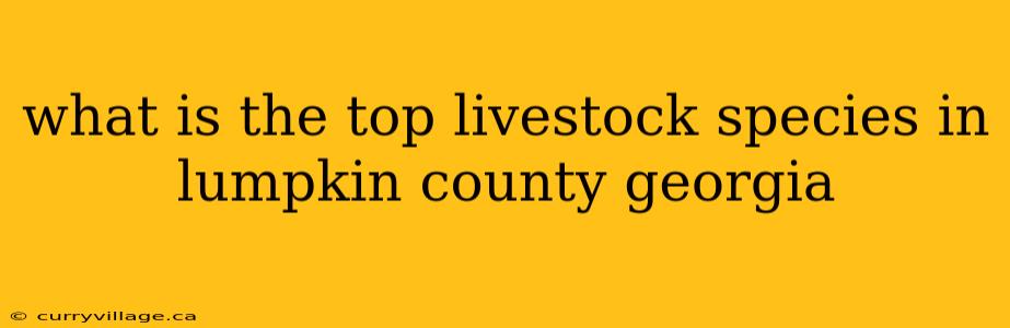 what is the top livestock species in lumpkin county georgia