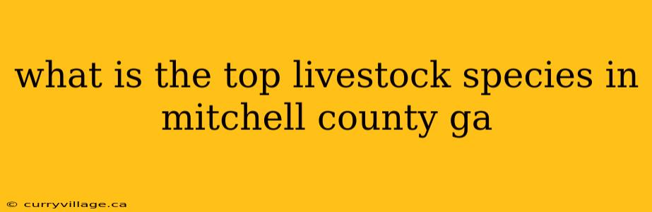 what is the top livestock species in mitchell county ga