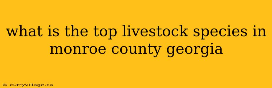 what is the top livestock species in monroe county georgia