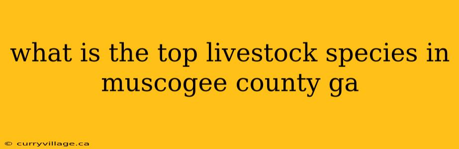 what is the top livestock species in muscogee county ga