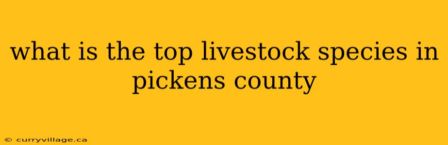 what is the top livestock species in pickens county