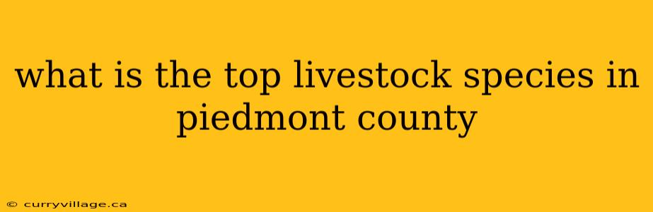 what is the top livestock species in piedmont county