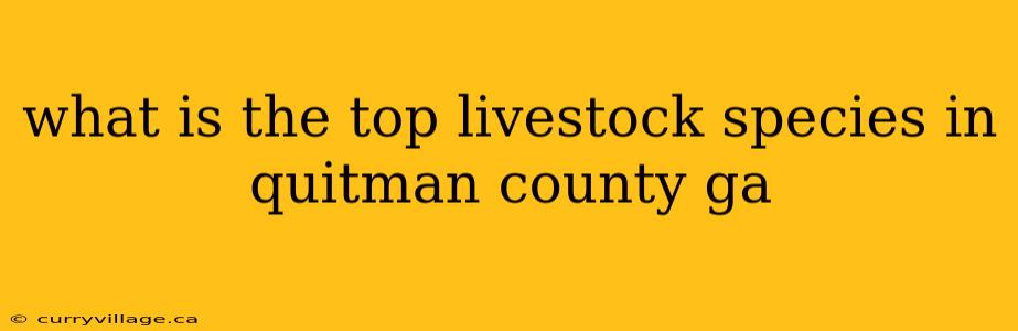 what is the top livestock species in quitman county ga