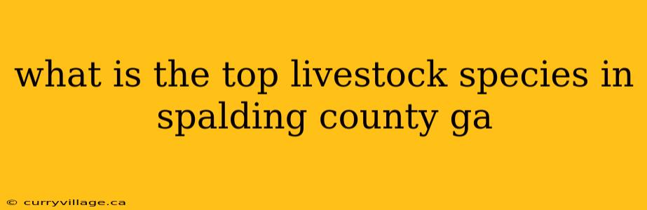 what is the top livestock species in spalding county ga