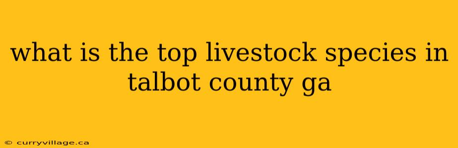 what is the top livestock species in talbot county ga