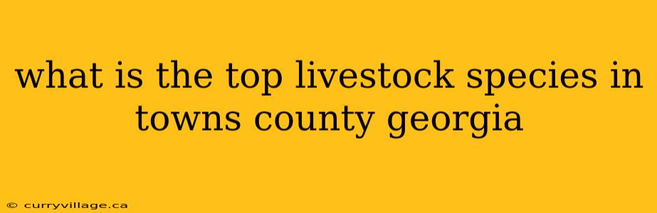 what is the top livestock species in towns county georgia