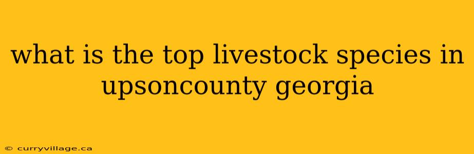 what is the top livestock species in upsoncounty georgia