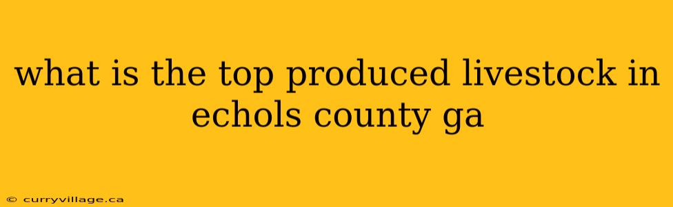 what is the top produced livestock in echols county ga