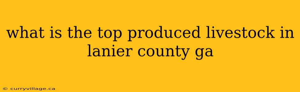 what is the top produced livestock in lanier county ga