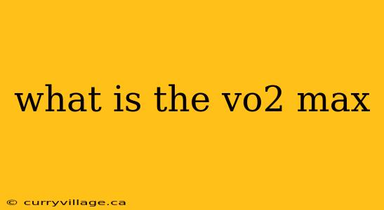 what is the vo2 max