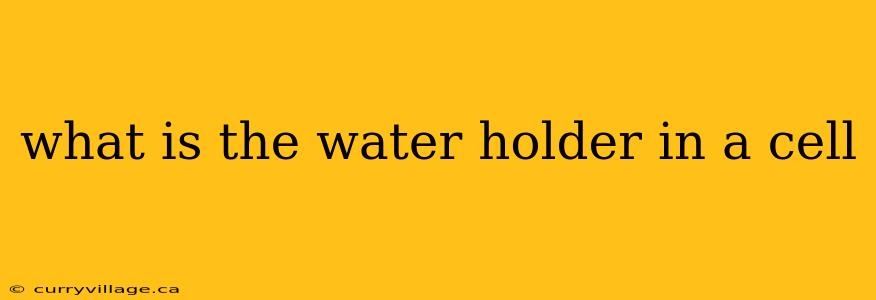 what is the water holder in a cell