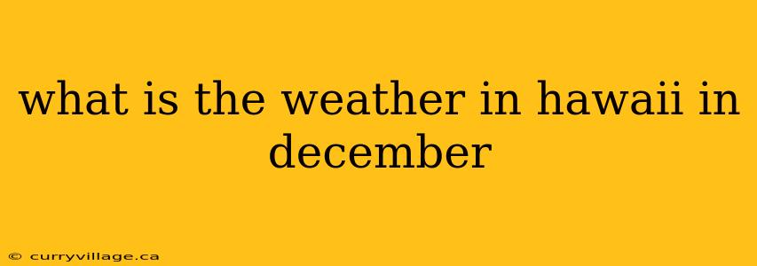 what is the weather in hawaii in december