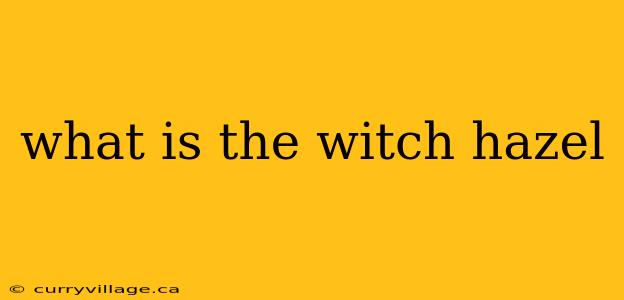 what is the witch hazel