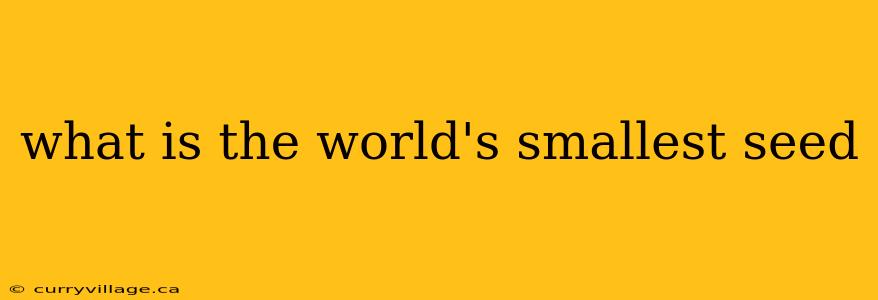 what is the world's smallest seed