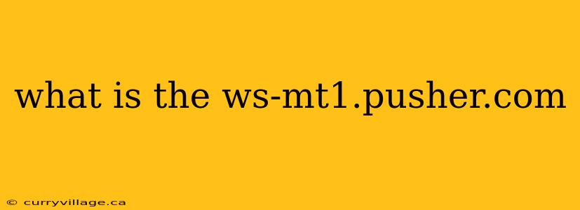 what is the ws-mt1.pusher.com