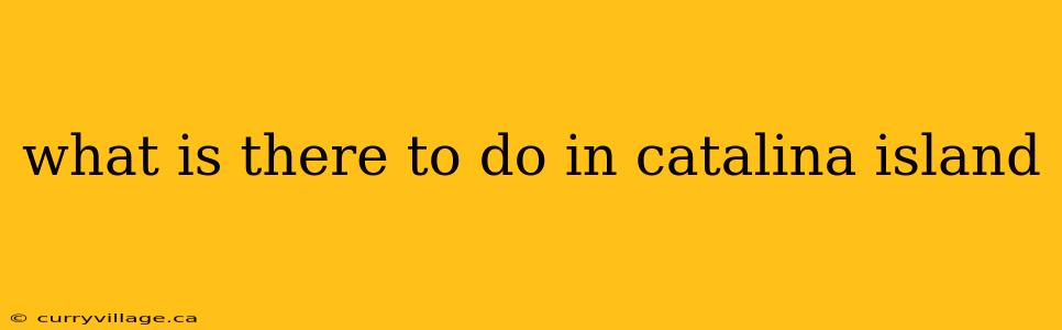 what is there to do in catalina island