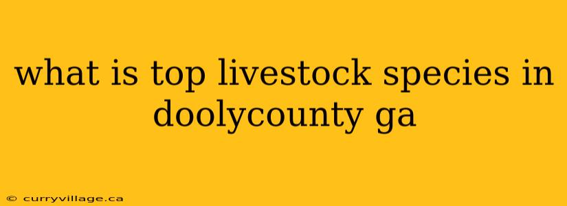 what is top livestock species in doolycounty ga